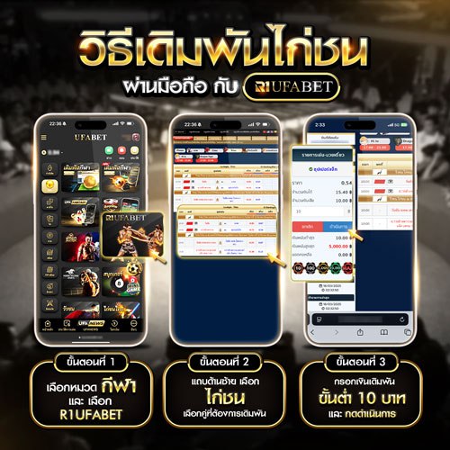 วิธีเล่นไก่ชนออนไลน์ UFABET